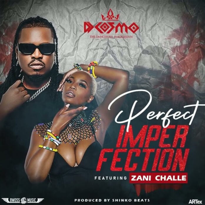 DJ Cosmo ft Zani Challe Perfect Imperfection
