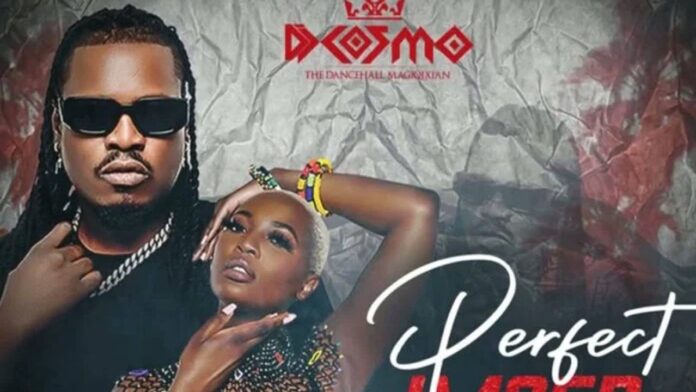 DJ Cosmo Ft Zani Challe-Perfect Imperfection (Lyric Video)