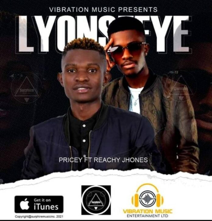 Pricey Ft Reachy Jhones-Lyonsefye