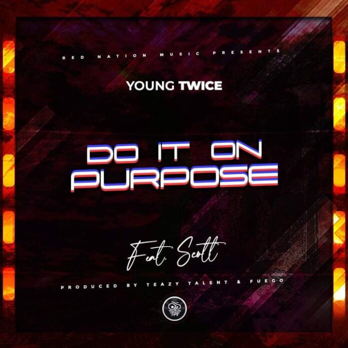 Young Twice Ft Scott-Do It On Purpose mp3
