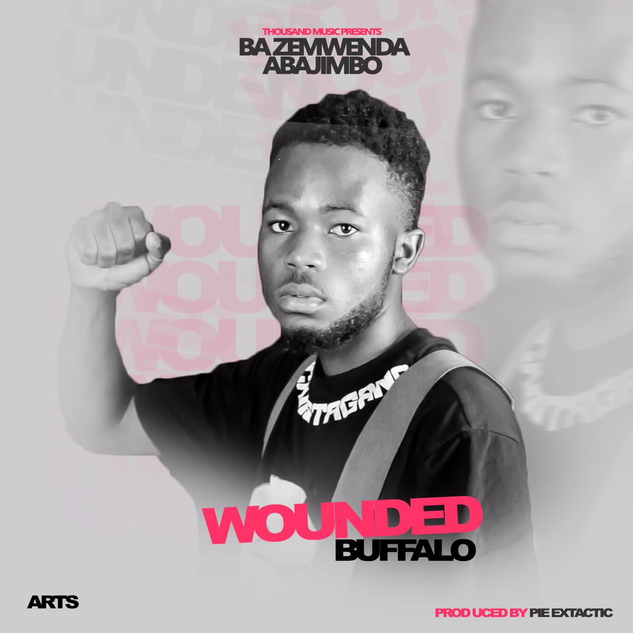 Ba Zemwenda Abajimbo-Wounded Buffalo