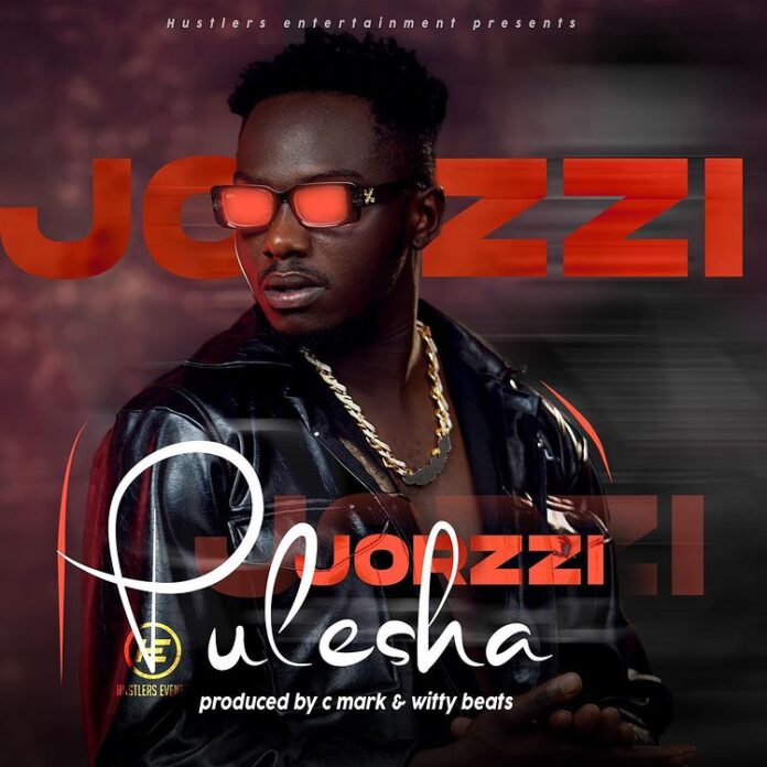 Jorzi-Pulesha (Prod. By C Mark)