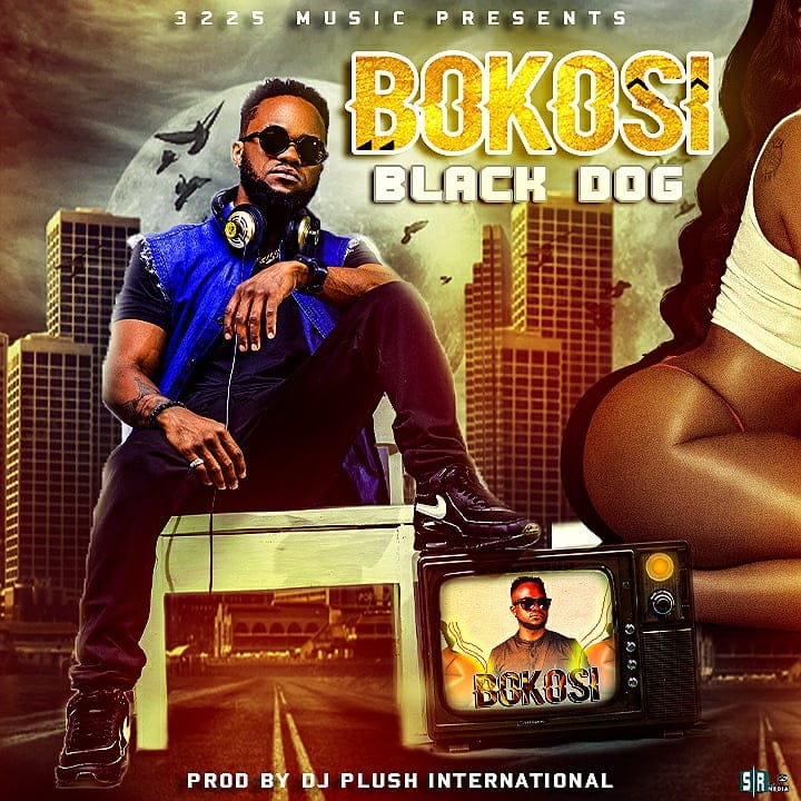 Black Dog-Bokosi (Prod. Dj Plush)