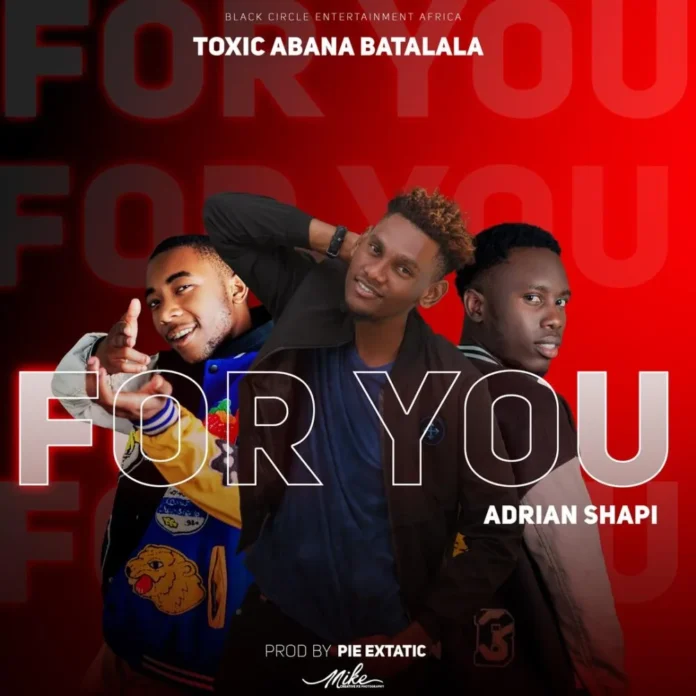 Toxic Abana Batalala-For You (Feat. Adrian Shapi)
