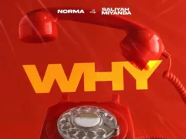 Norma-Why (Feat. Saliyah Miyanda)