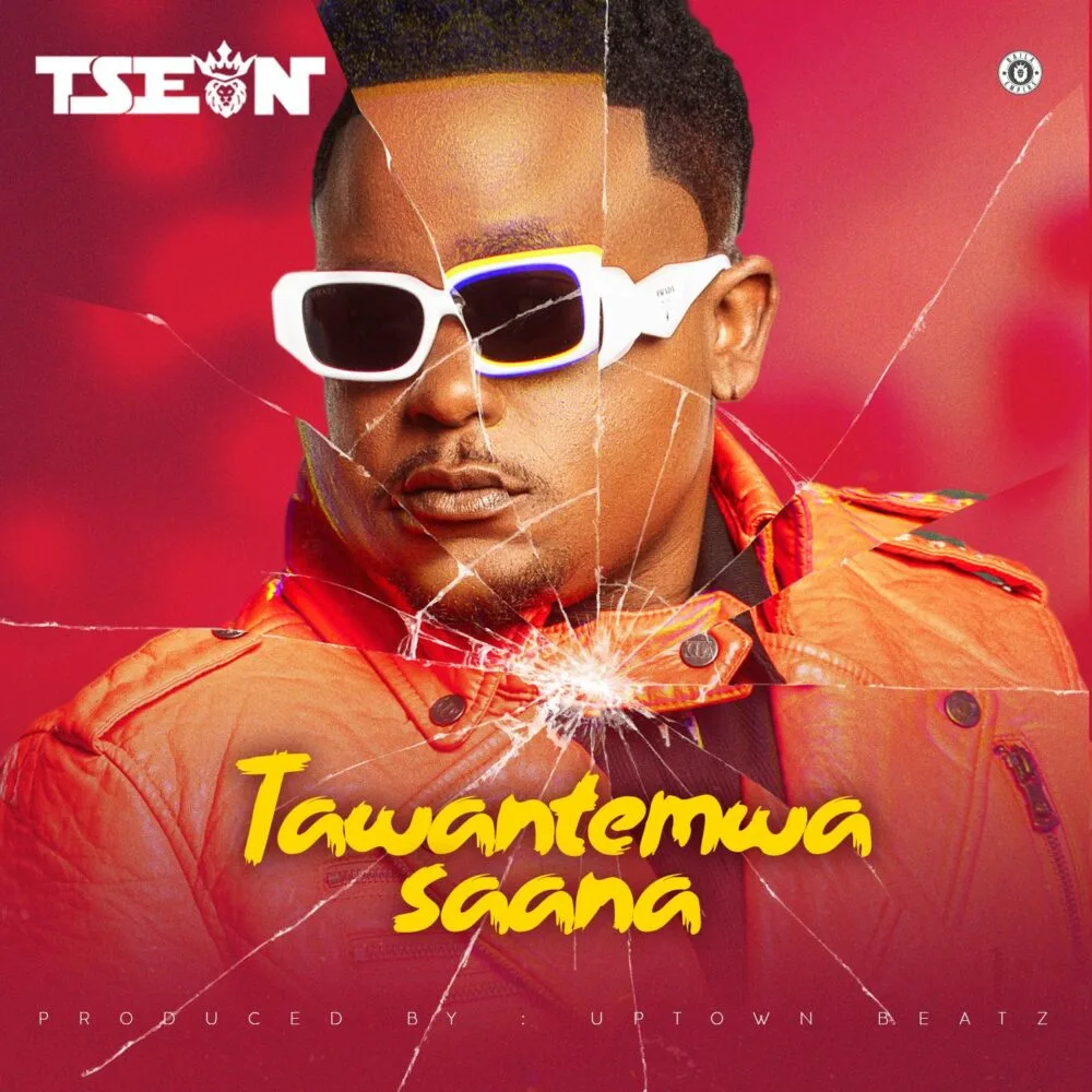 T-Sean – Tawantemwa Saana