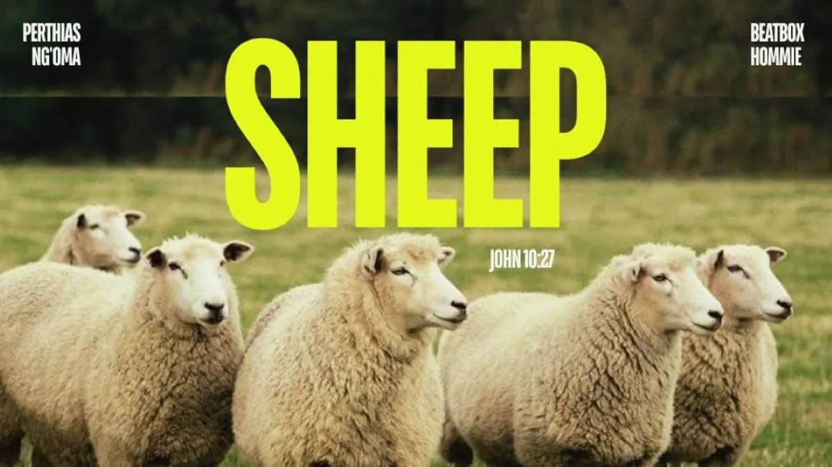 Perthias Ng’oma – Sheep (Feat. Beatbox Hommie)