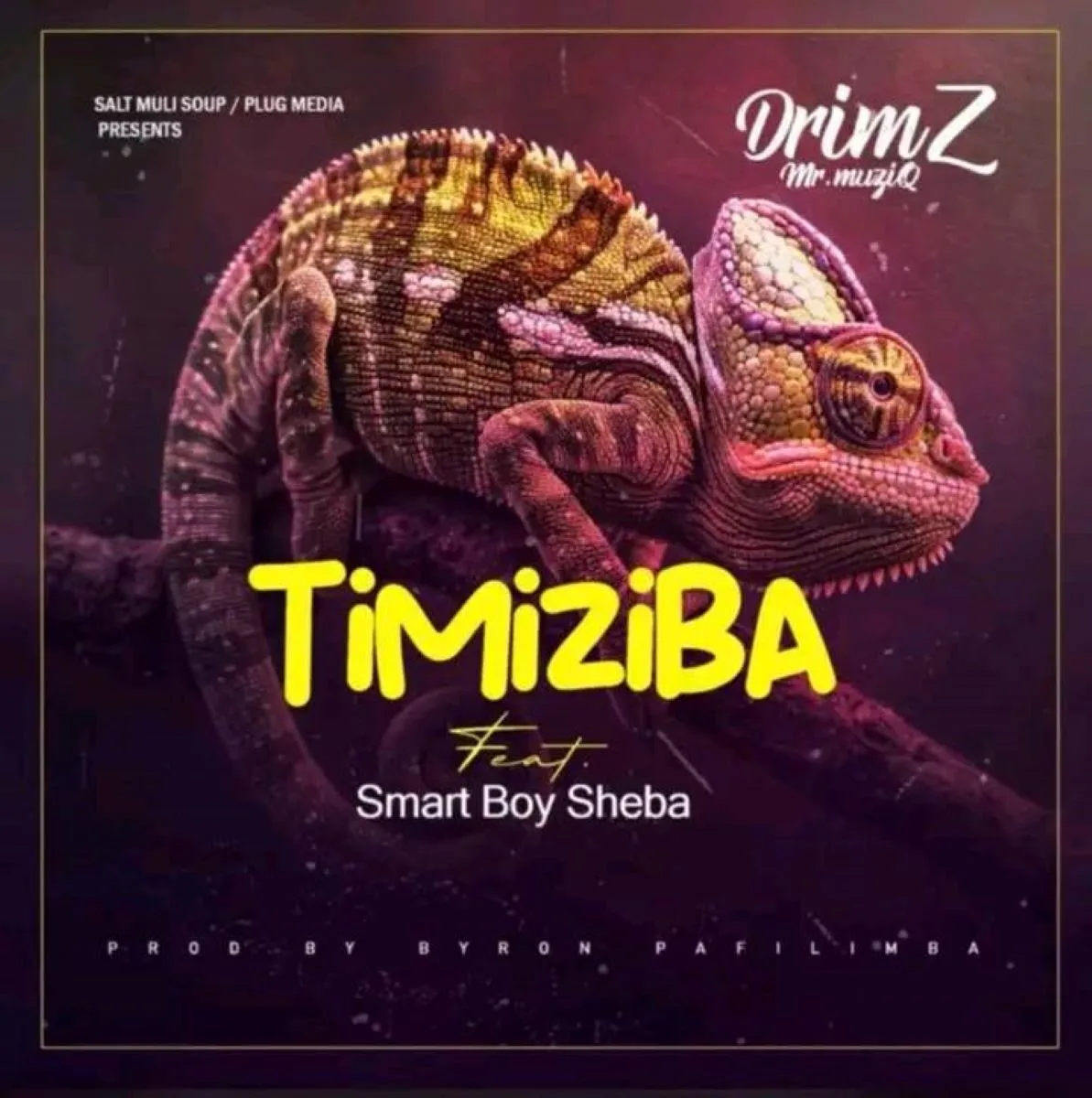 Drimz – Timiziba (Feat. Smart Boy Sheba)