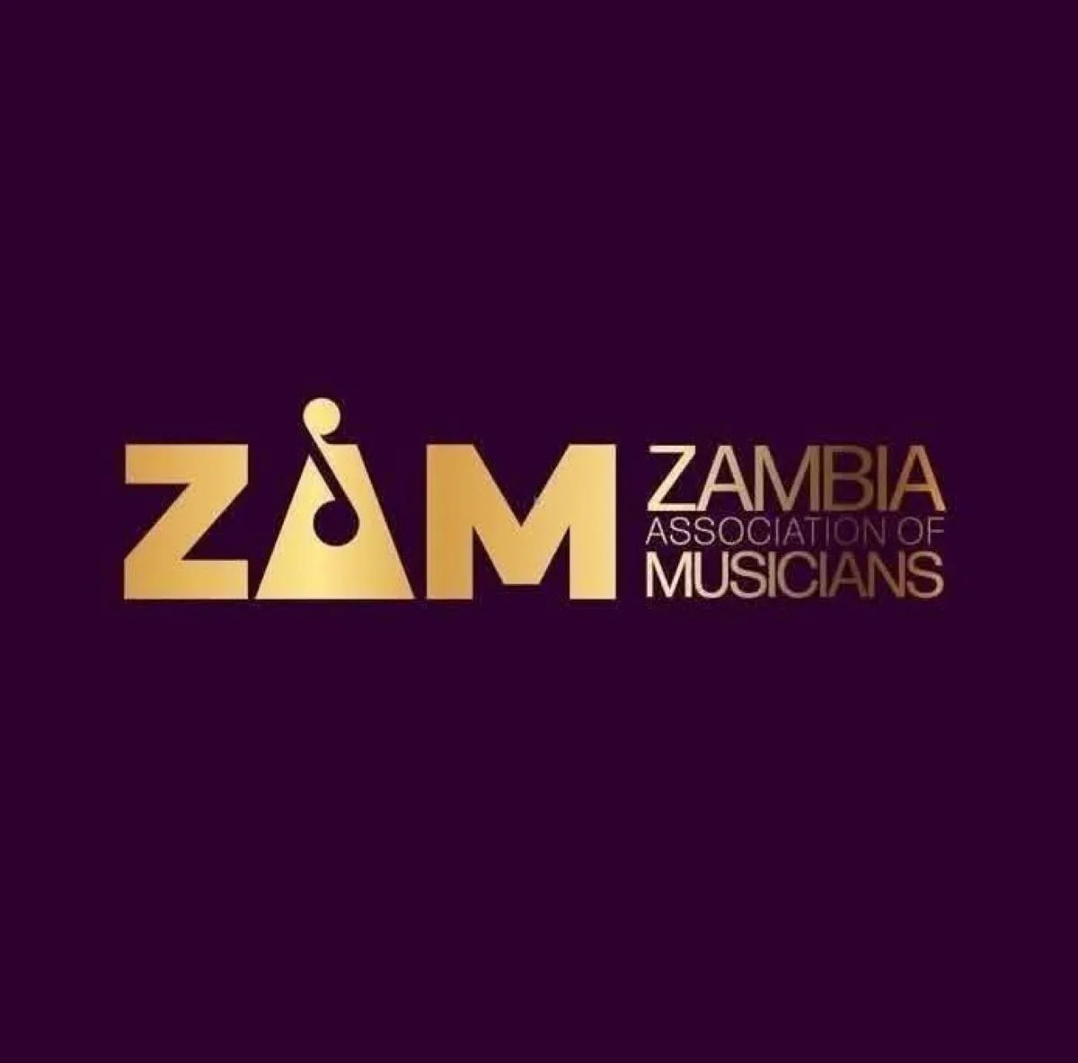 Zambia Association of Musicians Log