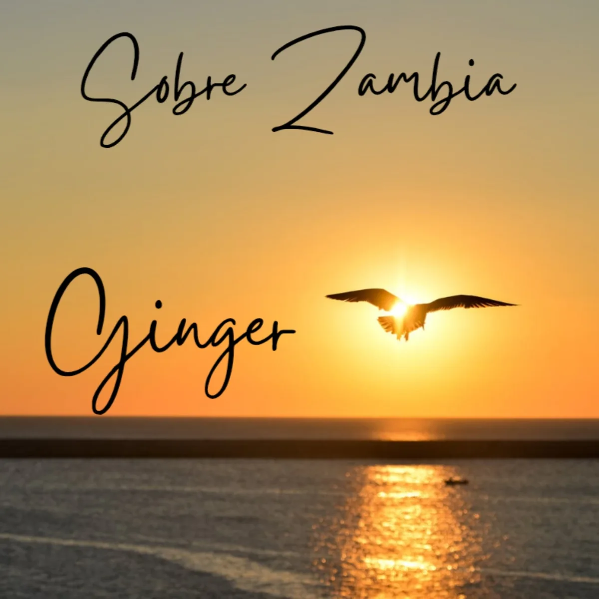 Sobre Ginger (Prod Nunu) Sobre - Ginger (Prod. Nunu)